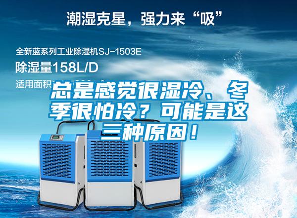 總是感覺很濕冷、冬季很怕冷？可能是這三種原因！