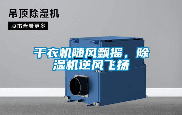 干衣機隨風飄搖，除濕機逆風飛揚