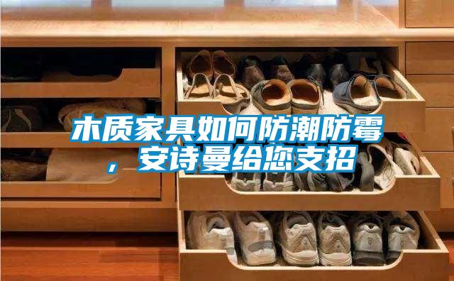 木質(zhì)家具如何防潮防霉，安詩(shī)曼給您支招