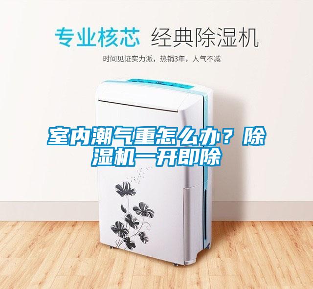 室內(nèi)潮氣重怎么辦？除濕機(jī)一開即除