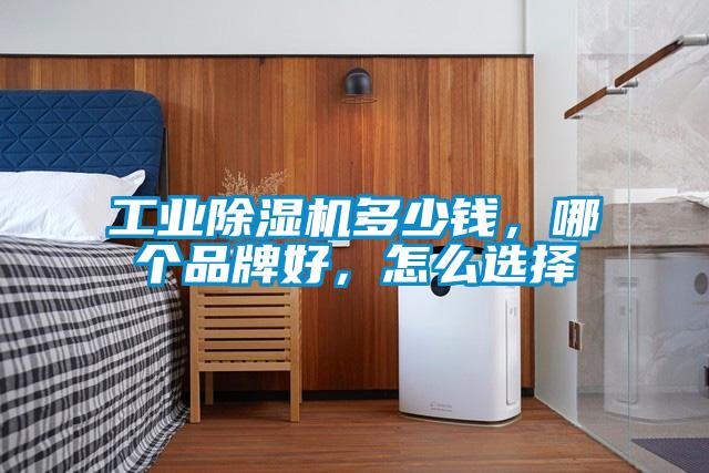 工業(yè)除濕機(jī)多少錢，哪個(gè)品牌好，怎么選擇