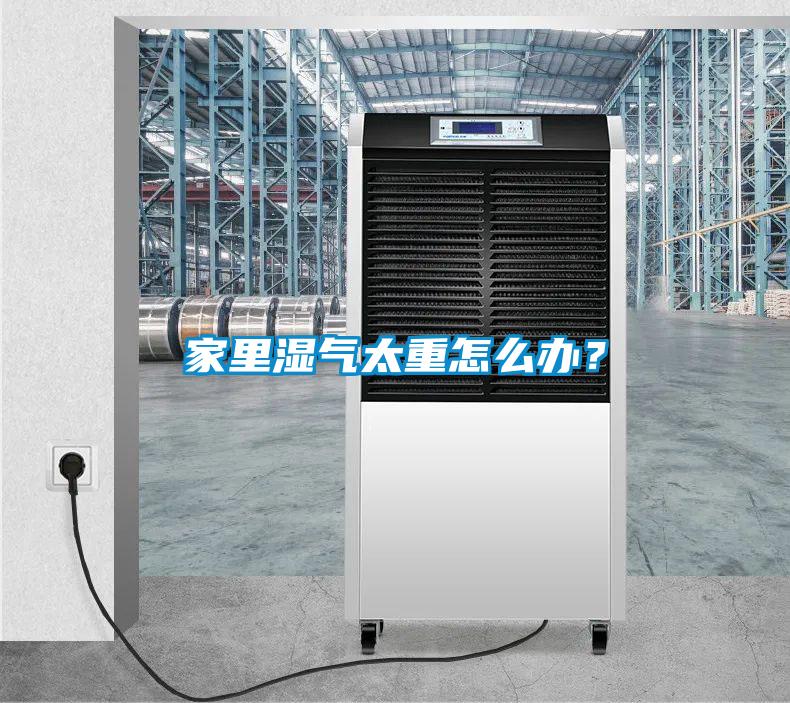家里濕氣太重怎么辦？
