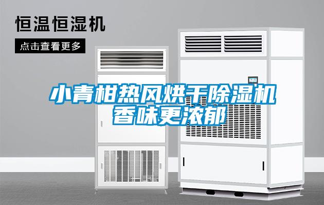 小青柑熱風(fēng)烘干除濕機 香味更濃郁