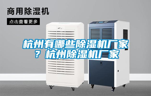 杭州有哪些除濕機廠家？杭州除濕機廠家