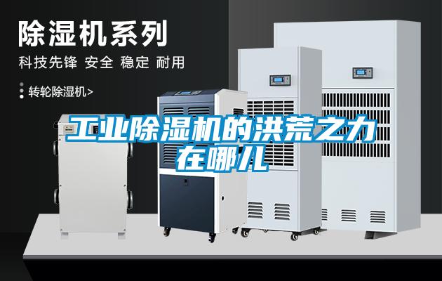 工業(yè)除濕機的洪荒之力在哪兒