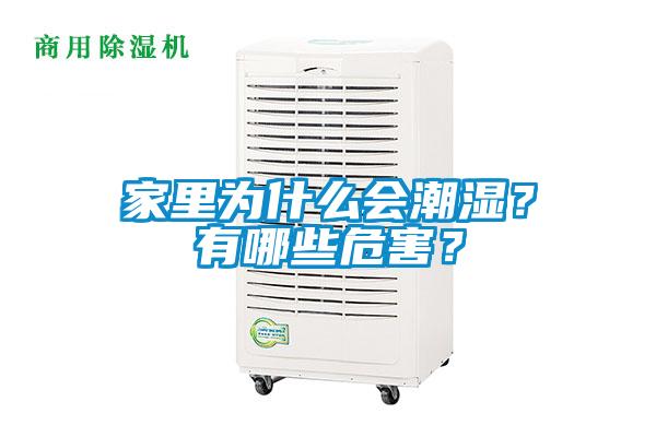 家里為什么會潮濕？有哪些危害？