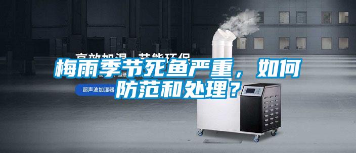梅雨季節(jié)死魚嚴重，如何防范和處理？