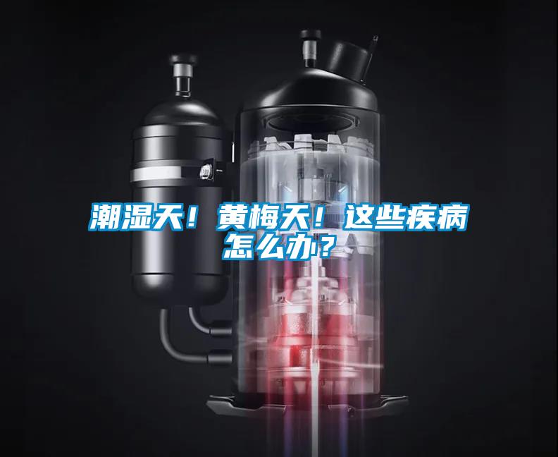 潮濕天！黃梅天！這些疾病怎么辦？