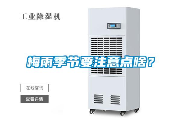 梅雨季節(jié)要注意點(diǎn)啥？