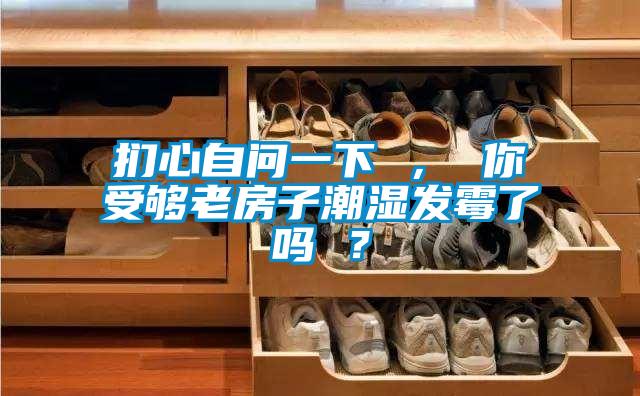 捫心自問一下 ， 你受夠老房子潮濕發(fā)霉了嗎 ？