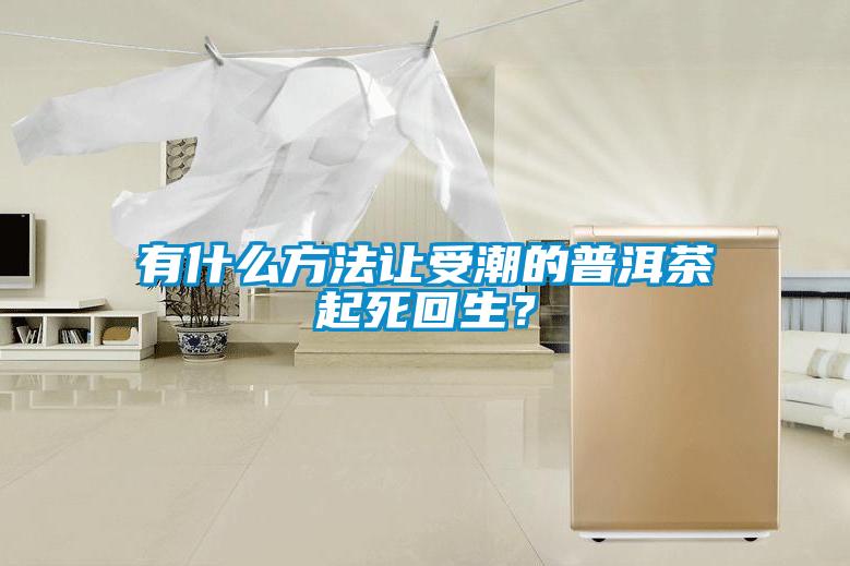 有什么方法讓受潮的普洱茶起死回生？