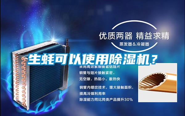 生蠔可以使用除濕機？