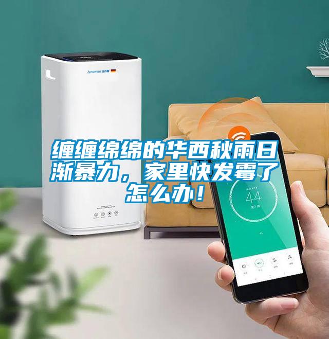 纏纏綿綿的華西秋雨日漸暴力，家里快發(fā)霉了怎么辦！
