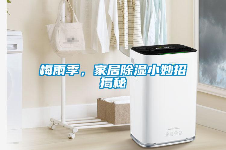 梅雨季，家居除濕小妙招揭秘