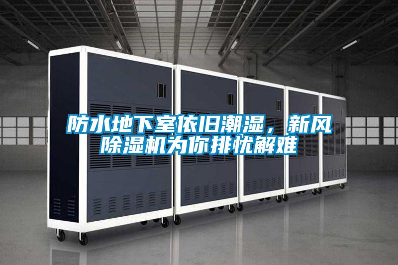 防水地下室依舊潮濕，新風(fēng)除濕機(jī)為你排憂解難