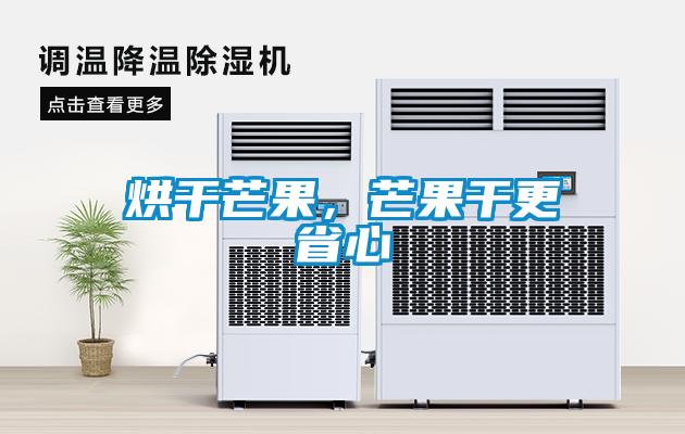 烘干芒果，芒果干更省心