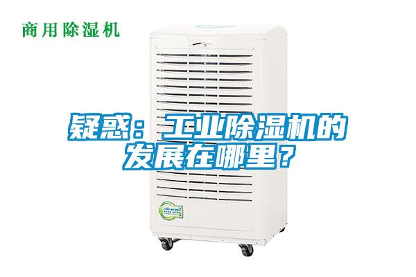 疑惑：工業(yè)除濕機(jī)的發(fā)展在哪里？