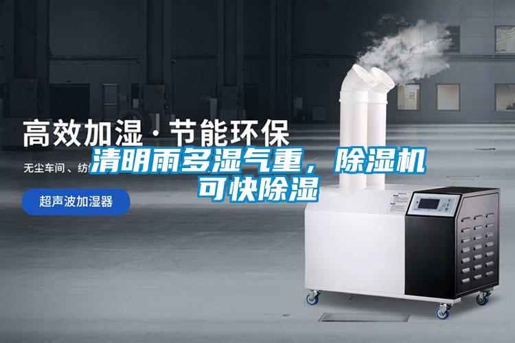 清明雨多濕氣重，除濕機可快除濕