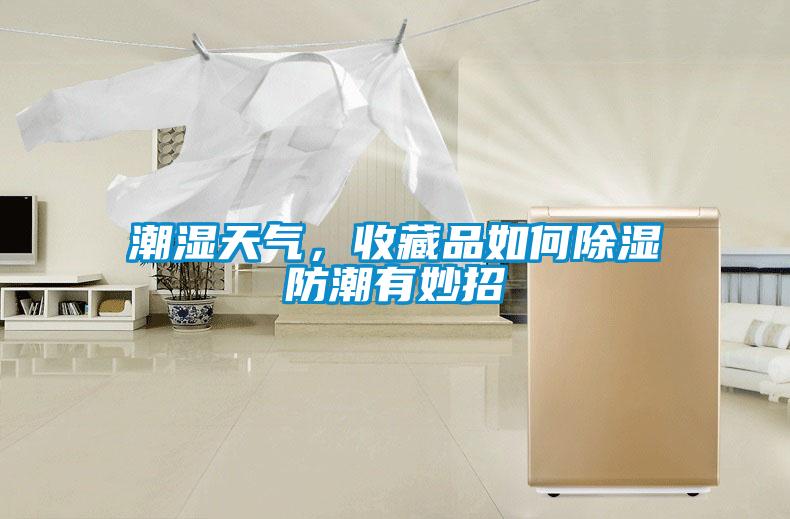 潮濕天氣，收藏品如何除濕防潮有妙招