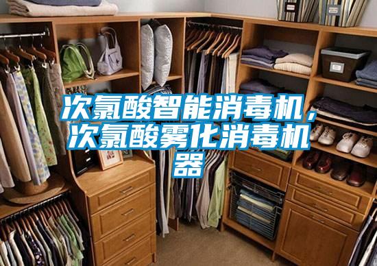 次氯酸智能消毒機(jī)，次氯酸霧化消毒機(jī)器