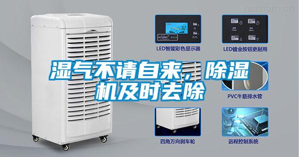 濕氣不請(qǐng)自來(lái)，除濕機(jī)及時(shí)去除