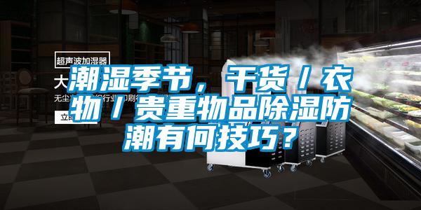 潮濕季節(jié)，干貨／衣物／貴重物品除濕防潮有何技巧？