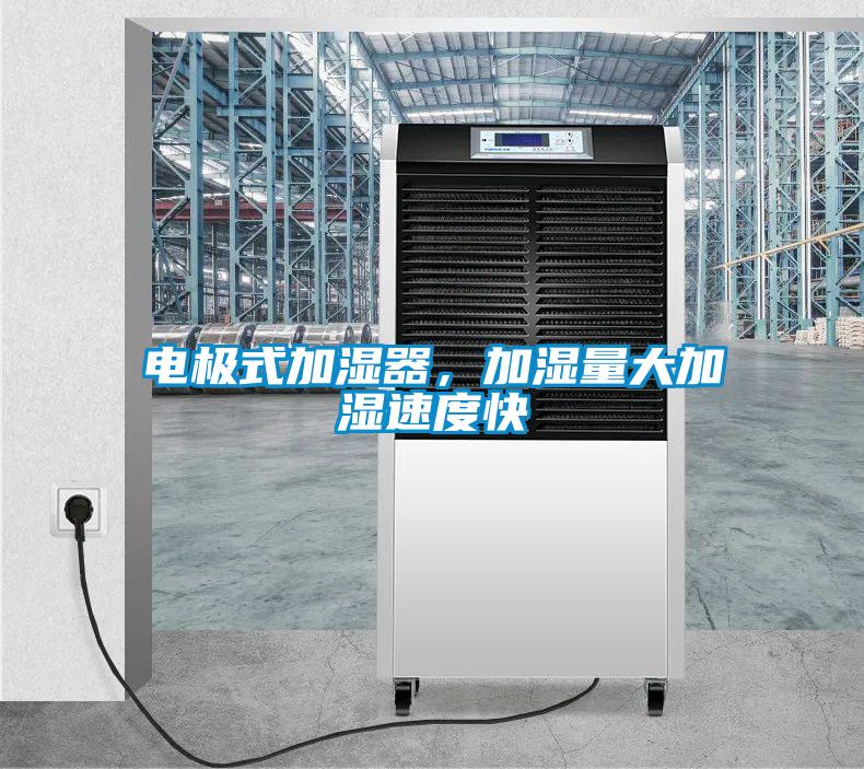 電極式加濕器，加濕量大加濕速度快