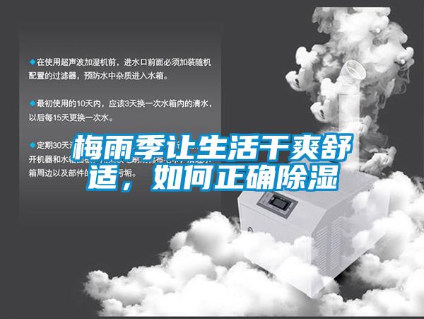梅雨季讓生活干爽舒適，如何正確除濕