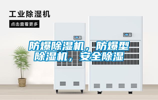 防爆除濕機(jī)，防爆型除濕機(jī)，安全除濕