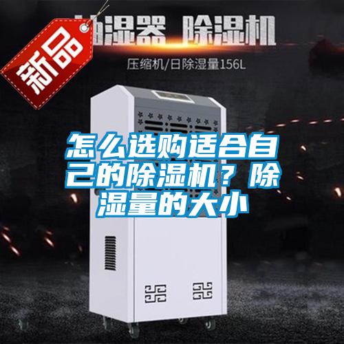怎么選購適合自己的除濕機(jī)？除濕量的大小