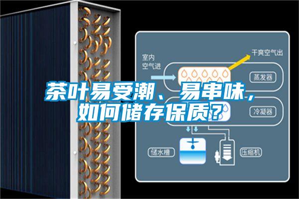 茶葉易受潮、易串味，如何儲存保質？