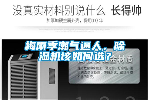 梅雨季潮氣逼人，除濕機該如何選？