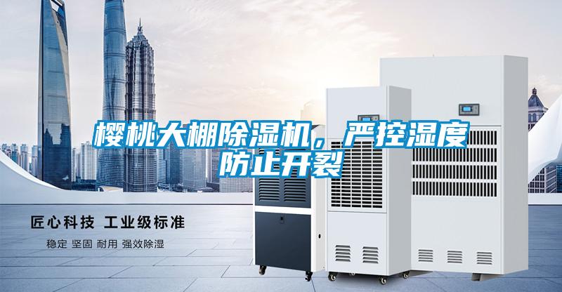 櫻桃大棚除濕機(jī)，嚴(yán)控濕度防止開裂