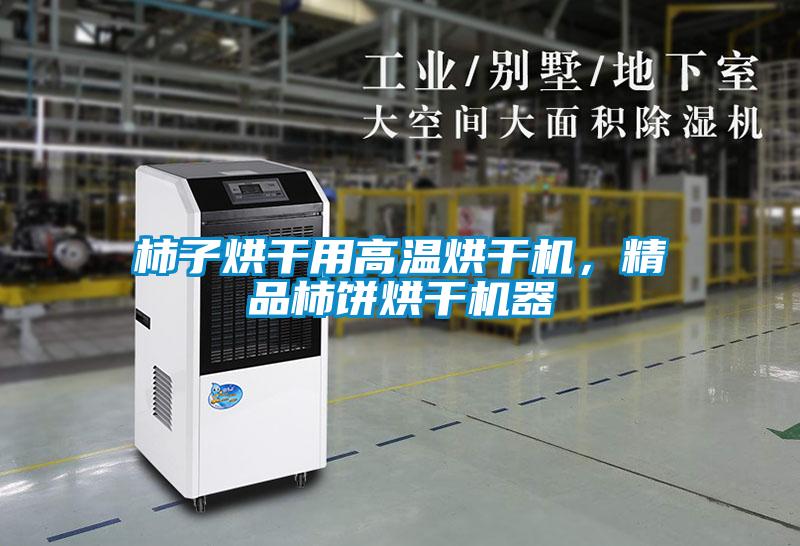 柿子烘干用高溫烘干機，精品柿餅烘干機器