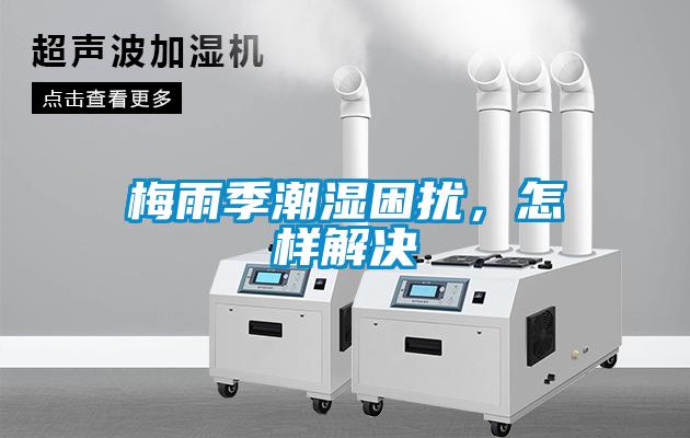 梅雨季潮濕困擾，怎樣解決