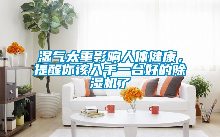 濕氣太重影響人體健康，提醒你該入手一臺(tái)好的除濕機(jī)了