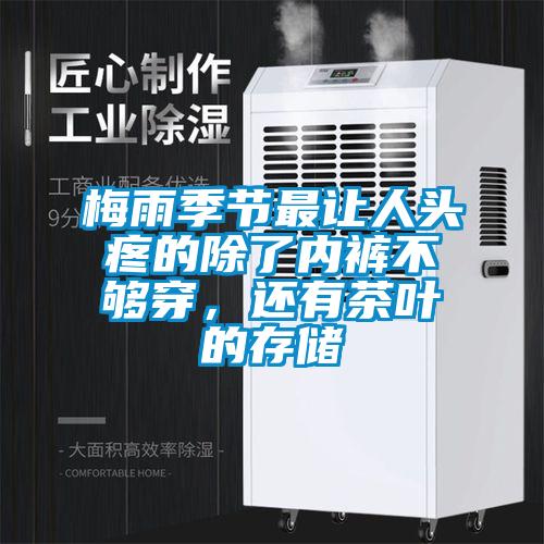 梅雨季節(jié)最讓人頭疼的除了內(nèi)褲不夠穿，還有茶葉的存儲(chǔ)