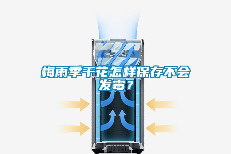 梅雨季干花怎樣保存不會發(fā)霉？