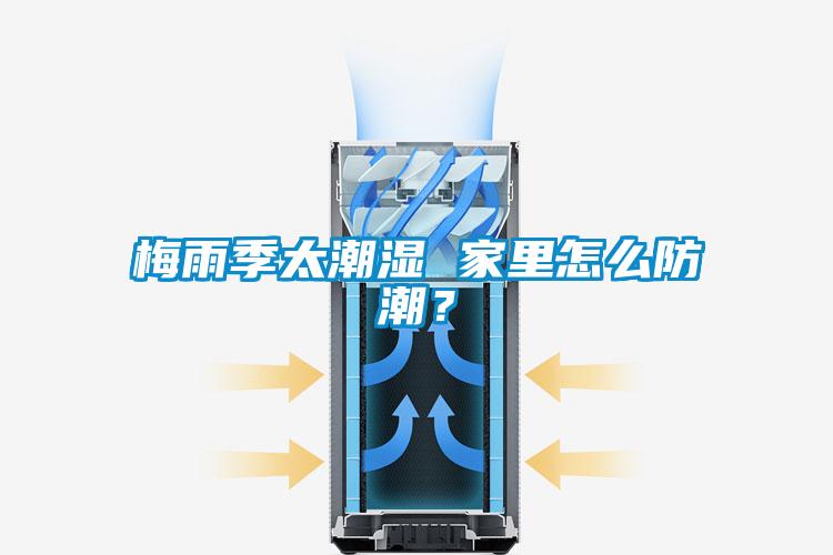 梅雨季太潮濕 家里怎么防潮？