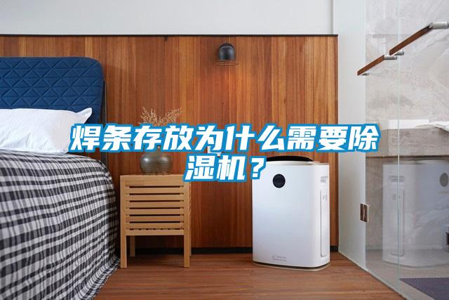焊條存放為什么需要除濕機？