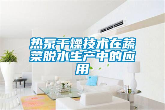 熱泵干燥技術(shù)在蔬菜脫水生產(chǎn)中的應用