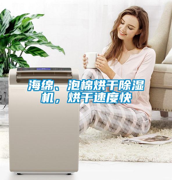 海綿、泡棉烘干除濕機，烘干速度快