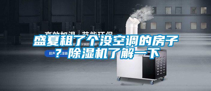 盛夏租了個沒空調(diào)的房子？除濕機了解一下