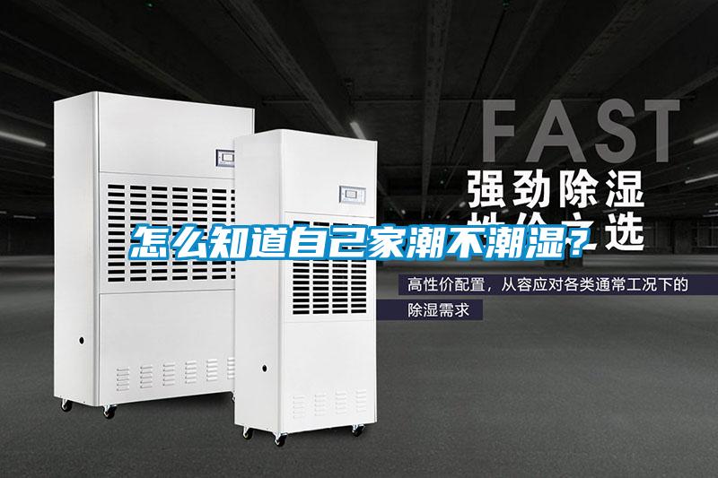 怎么知道自己家潮不潮濕？