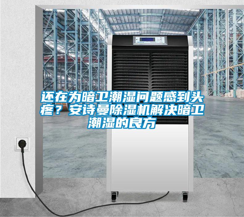 還在為暗衛(wèi)潮濕問題感到頭疼？安詩曼除濕機解決暗衛(wèi)潮濕的良方