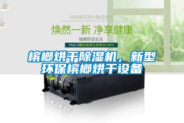 檳榔烘干除濕機(jī)，新型環(huán)保檳榔烘干設(shè)備