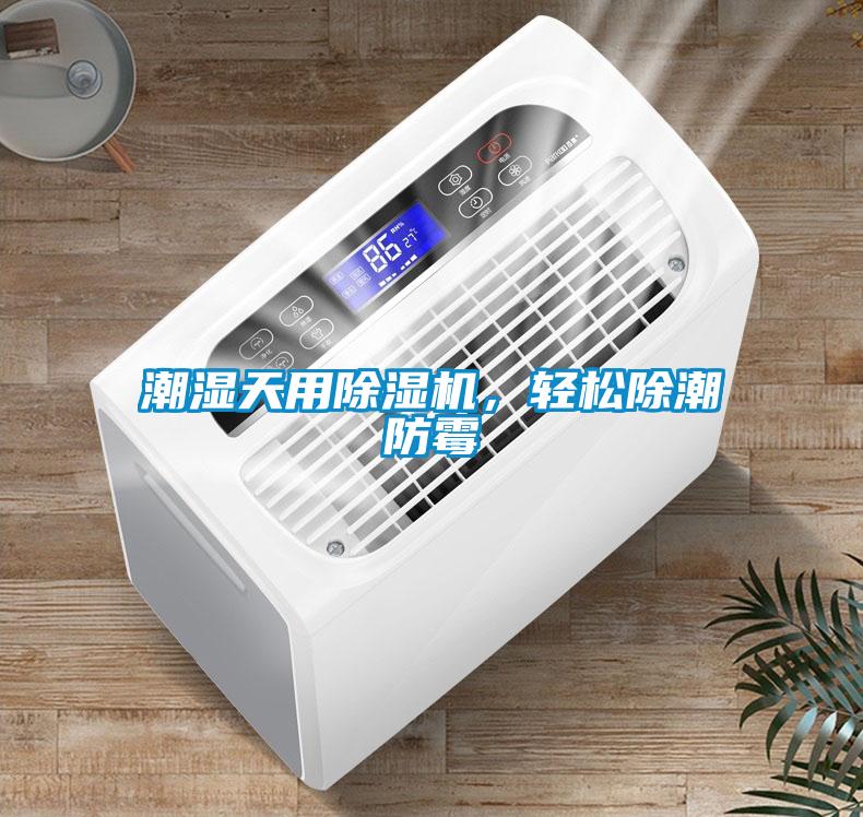 潮濕天用除濕機，輕松除潮防霉