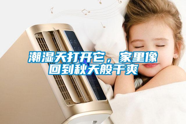 潮濕天打開(kāi)它，家里像回到秋天般干爽