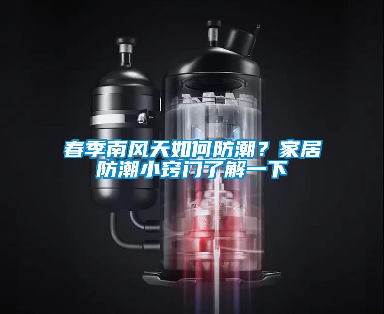 春季南風(fēng)天如何防潮？家居防潮小竅門了解一下