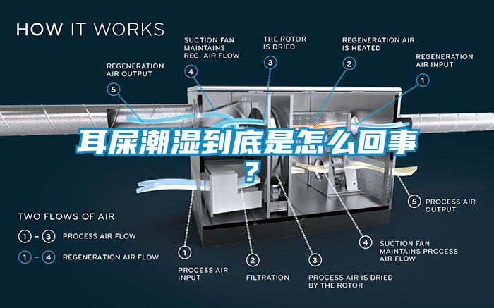 耳屎潮濕到底是怎么回事？